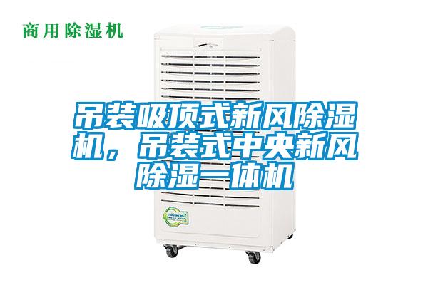 吊裝吸頂式新風除濕機，吊裝式中央新風除濕一體機