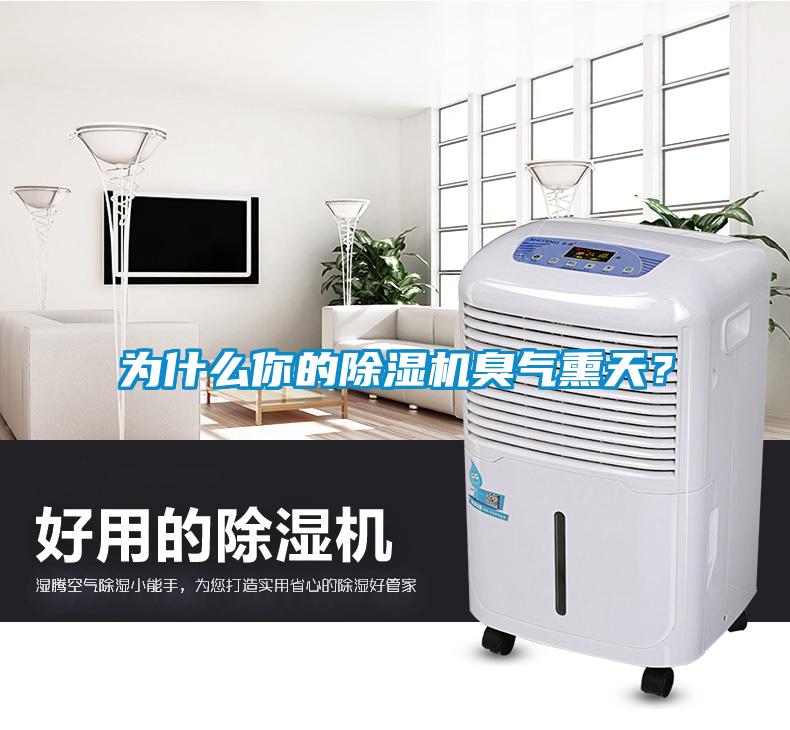 為什么你的除濕機臭氣熏天？