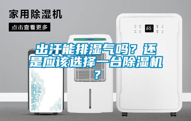 出汗能排濕氣嗎？還是應該選擇一臺除濕機？