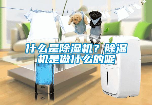 什么是除濕機(jī)？除濕機(jī)是做什么的呢