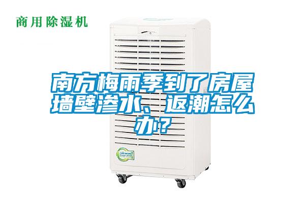 南方梅雨季到了房屋墻壁滲水、返潮怎么辦？