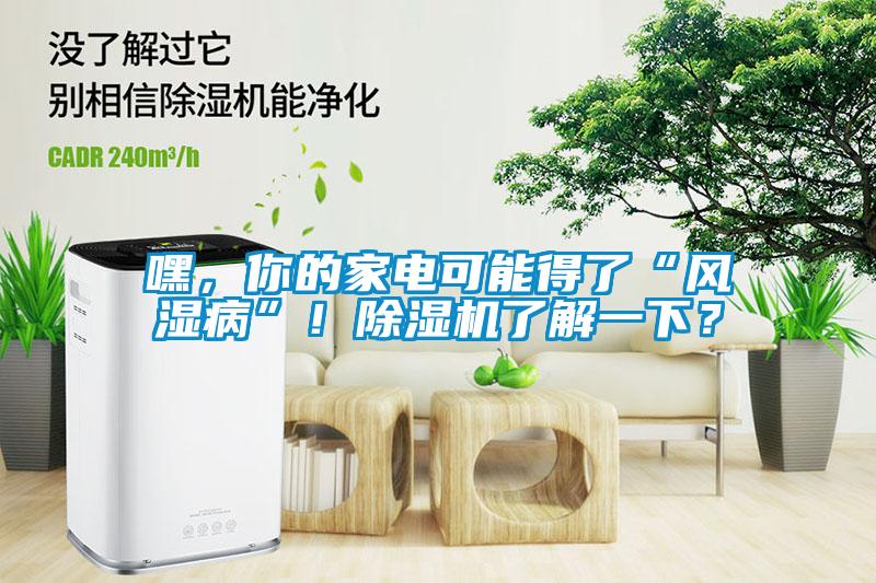 嘿，你的家電可能得了“風濕病”！除濕機了解一下？