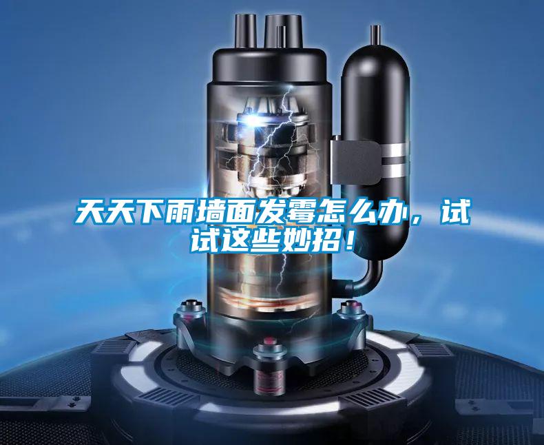 天天下雨墻面發(fā)霉怎么辦，試試這些妙招！