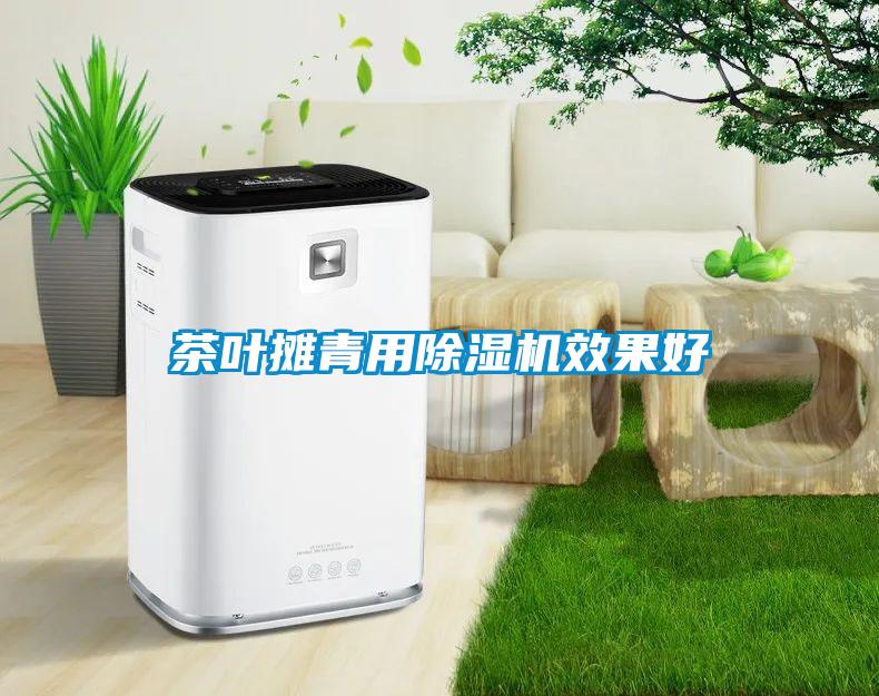 茶葉攤青用除濕機效果好