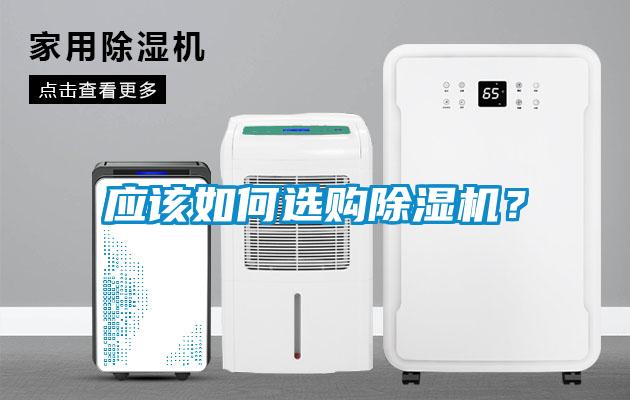 應該如何選購除濕機？