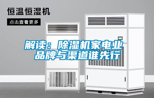 解讀：除濕機家電業 品牌與渠道誰先行