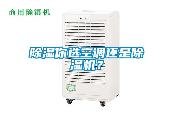 除濕你選空調(diào)還是除濕機？