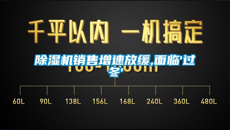 除濕機銷售增速放緩,面臨'過冬'