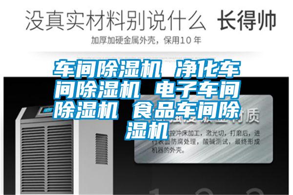 車間除濕機 凈化車間除濕機 電子車間除濕機 食品車間除濕機