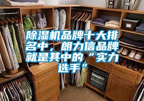 除濕機品牌十大排名中，朗力信品牌就是其中的“實力選手”