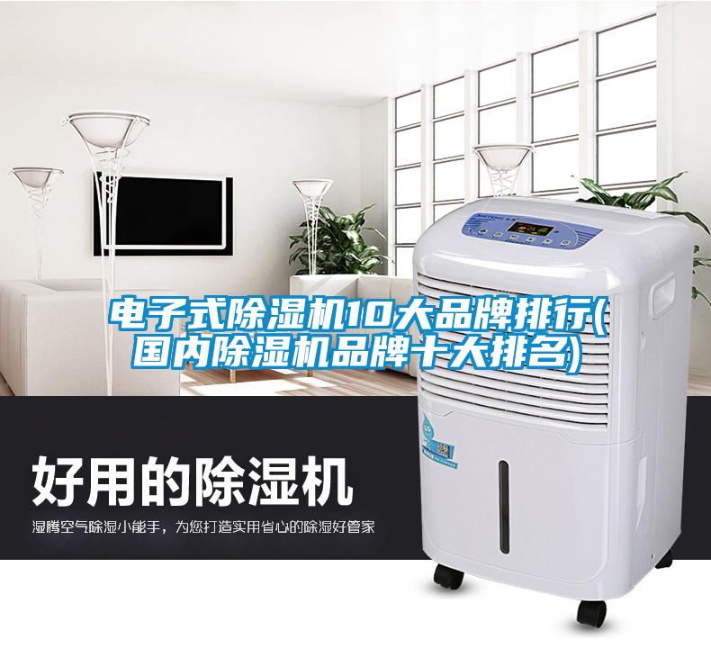 電子式除濕機10大品牌排行(國內除濕機品牌十大排名)