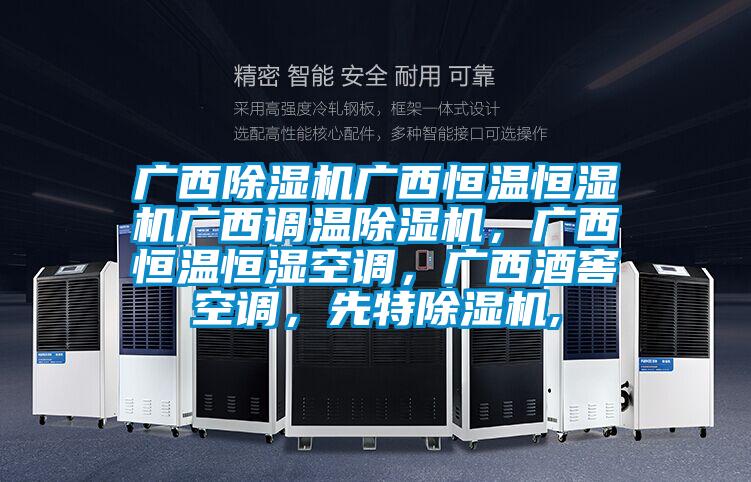 廣西除濕機廣西恒溫恒濕機廣西調溫除濕機，廣西恒溫恒濕空調，廣西酒窖空調，先特除濕機,