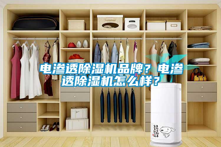 電滲透除濕機品牌？電滲透除濕機怎么樣？