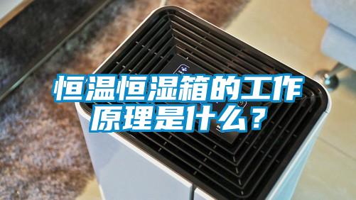 恒溫恒濕箱的工作原理是什么？