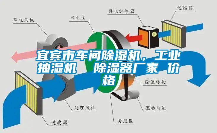 宜賓市車間除濕機，工業抽濕機  除濕器廠家 價格