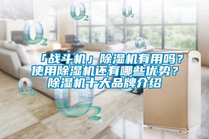 「戰斗機」除濕機有用嗎？使用除濕機還有哪些優勢？除濕機十大品牌介紹