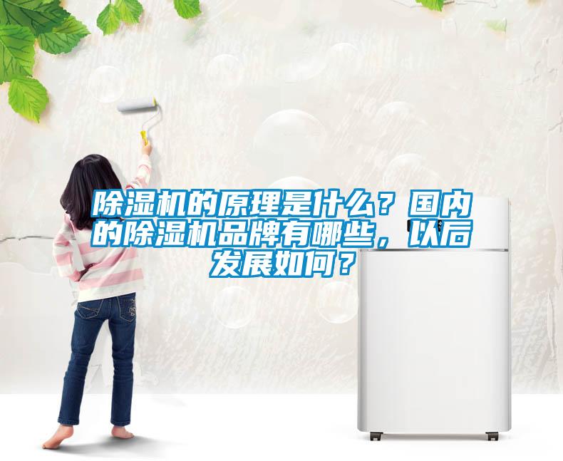 除濕機的原理是什么？國內的除濕機品牌有哪些，以后發展如何？