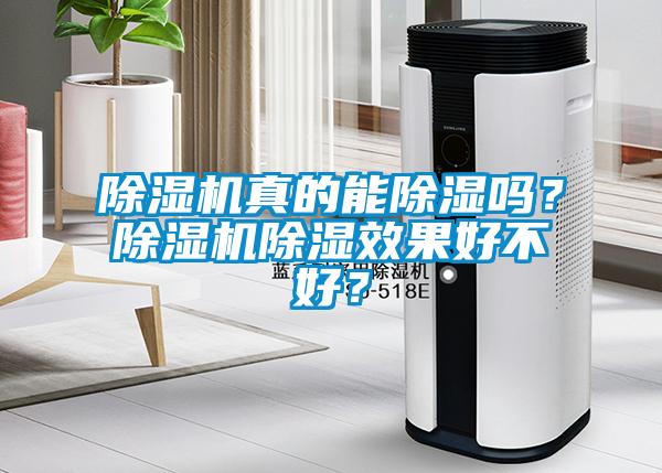 除濕機真的能除濕嗎？除濕機除濕效果好不好？