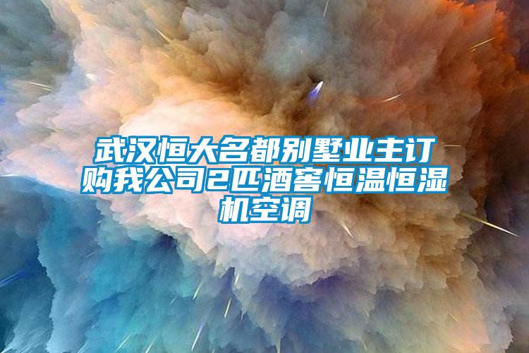 武漢恒大名都別墅業主訂購我公司2匹酒窖恒溫恒濕機空調