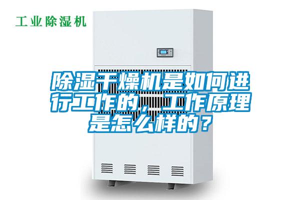 除濕干燥機是如何進行工作的，工作原理是怎么樣的？