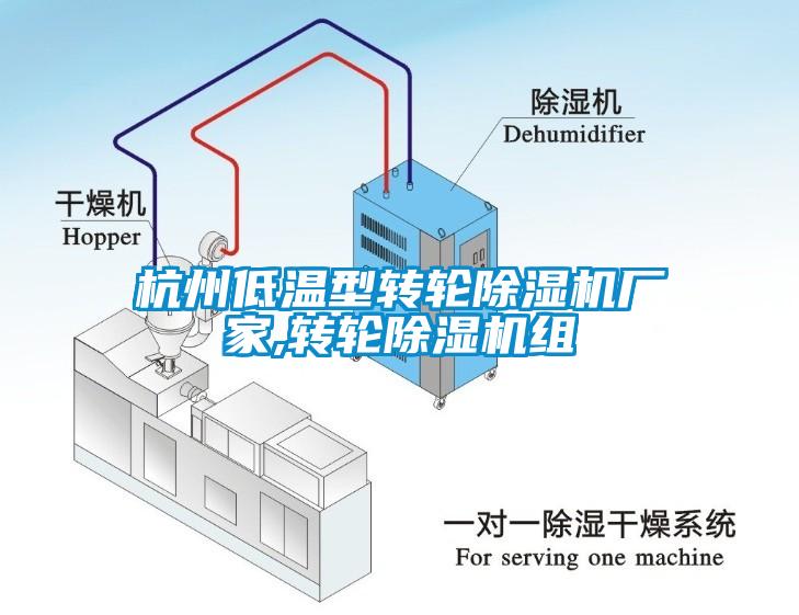 杭州低溫型轉輪除濕機廠家,轉輪除濕機組