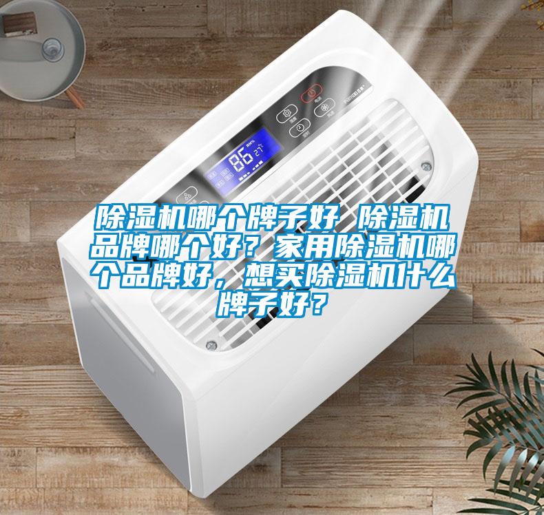 除濕機哪個牌子好 除濕機品牌哪個好？家用除濕機哪個品牌好，想買除濕機什么牌子好？