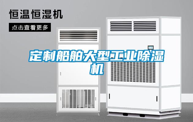 定制船舶大型工業除濕機