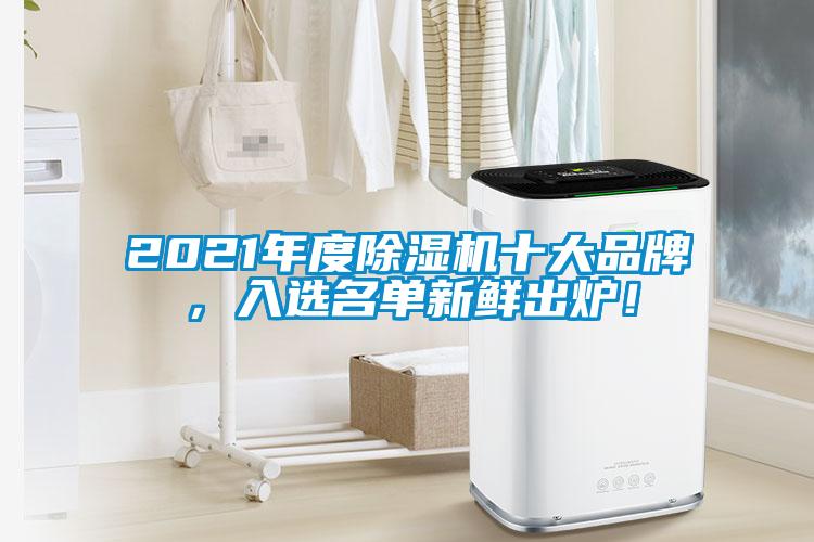 2021年度除濕機十大品牌，入選名單新鮮出爐！