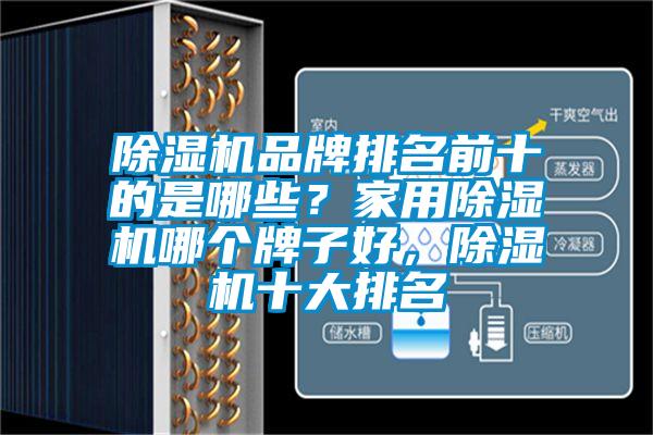 除濕機品牌排名前十的是哪些？家用除濕機哪個牌子好，除濕機十大排名