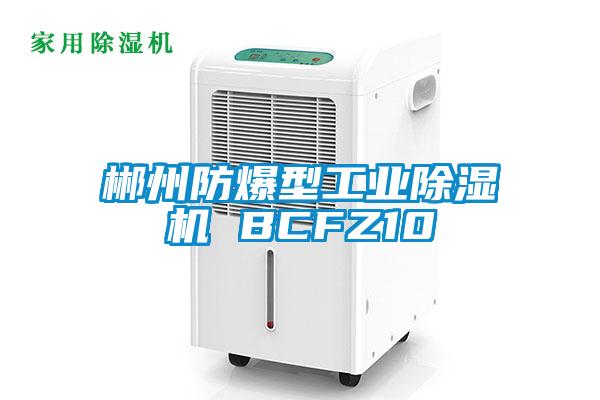 郴州防爆型工業除濕機 BCFZ10