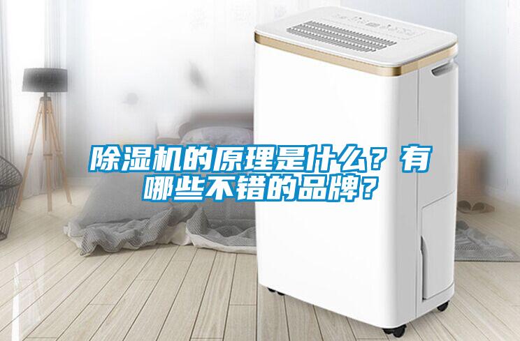 除濕機的原理是什么？有哪些不錯的品牌？