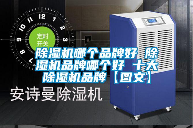 除濕機哪個品牌好 除濕機品牌哪個好 十大除濕機品牌【圖文】