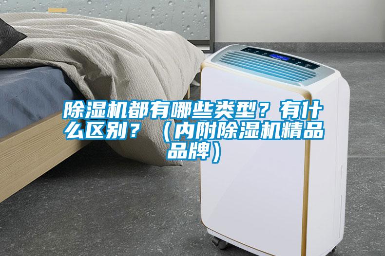 除濕機都有哪些類型？有什么區別？（內附除濕機精品品牌）