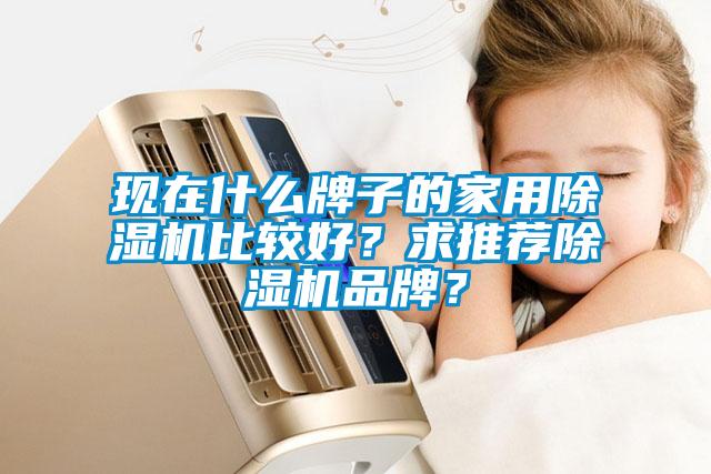 現(xiàn)在什么牌子的家用除濕機比較好？求推薦除濕機品牌？