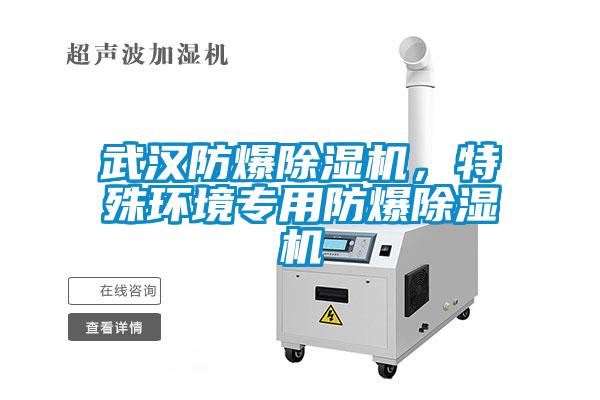 武漢防爆除濕機(jī)，特殊環(huán)境專用防爆除濕機(jī)