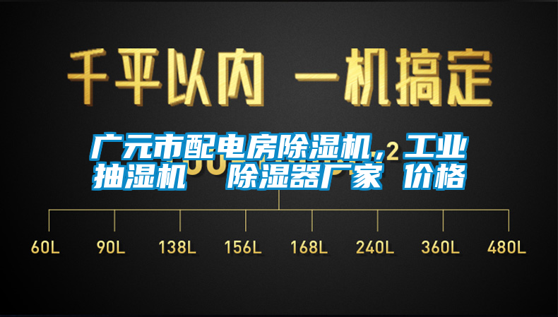 廣元市配電房除濕機(jī)，工業(yè)抽濕機(jī)  除濕器廠家 價(jià)格