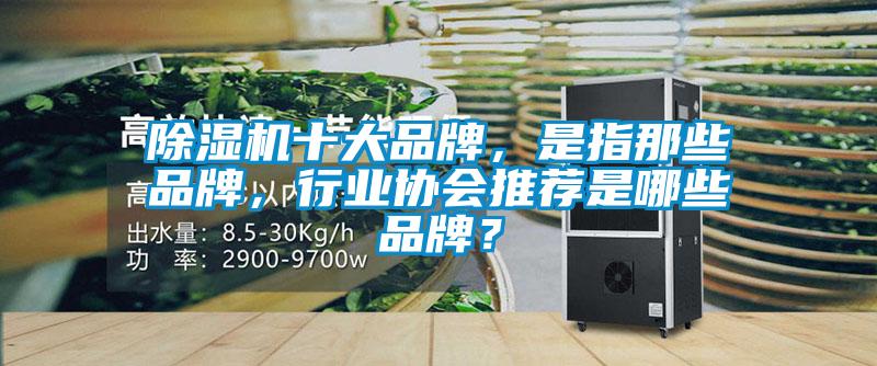 除濕機十大品牌，是指那些品牌，行業協會推薦是哪些品牌？