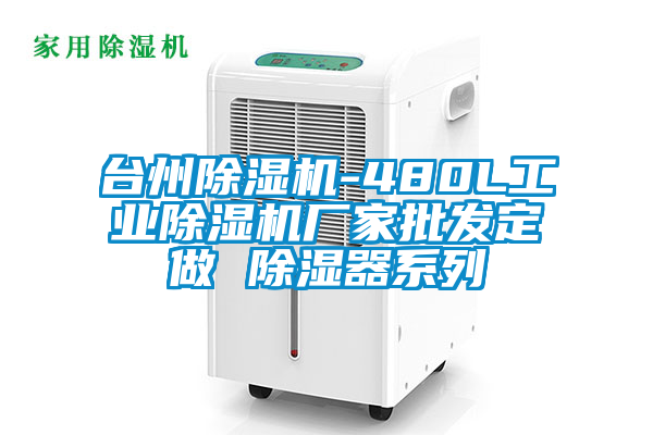 臺州除濕機-480L工業除濕機廠家批發定做 除濕器系列