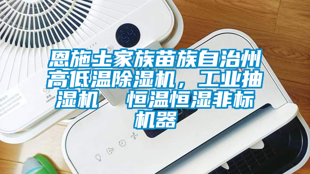 恩施土家族苗族自治州高低溫除濕機，工業抽濕機  恒溫恒濕非標機器