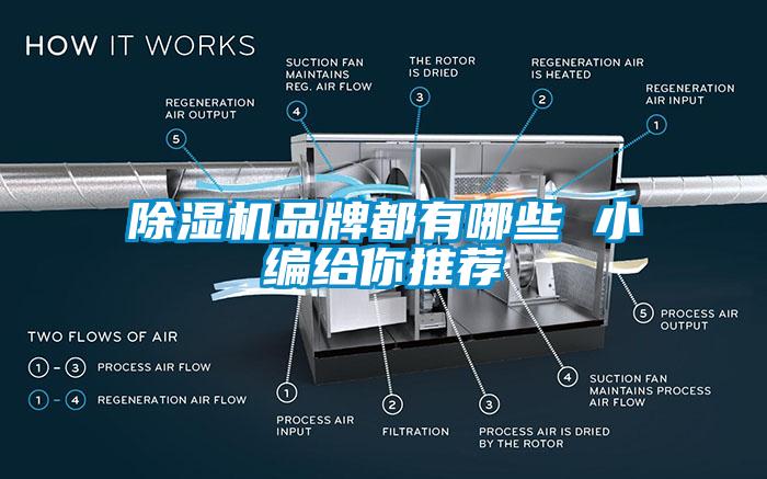 除濕機品牌都有哪些 小編給你推薦