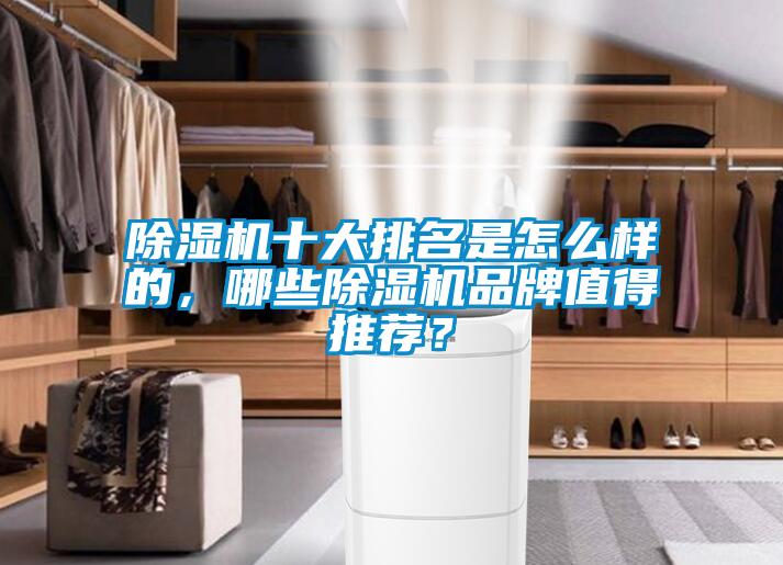 除濕機十大排名是怎么樣的，哪些除濕機品牌值得推薦？