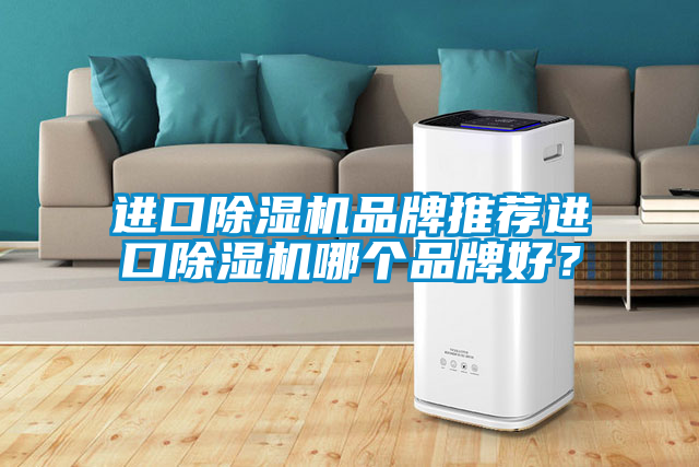 進口除濕機品牌推薦進口除濕機哪個品牌好？