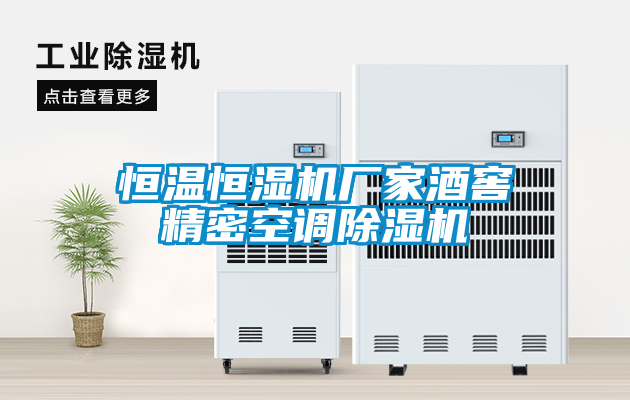 恒溫恒濕機廠家酒窖精密空調除濕機