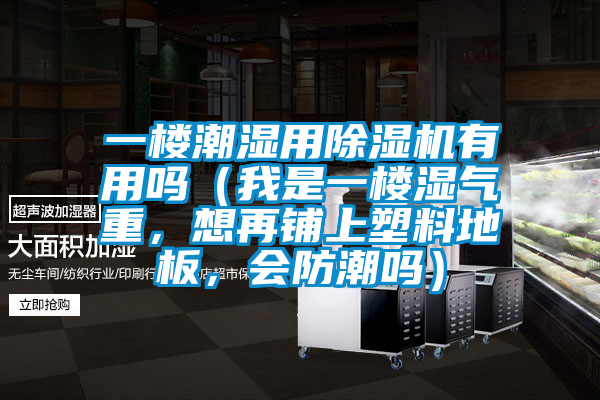 一樓潮濕用除濕機有用嗎（我是一樓濕氣重，想再鋪上塑料地板，會防潮嗎）