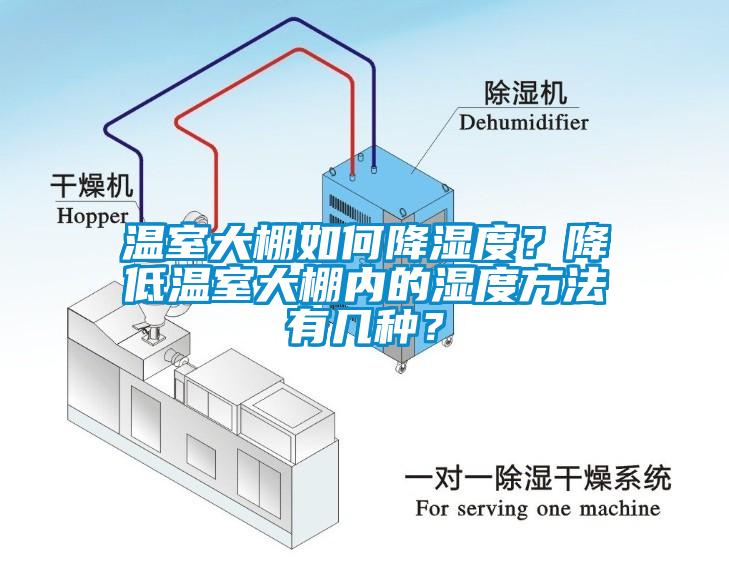 溫室大棚如何降濕度？降低溫室大棚內的濕度方法有幾種？