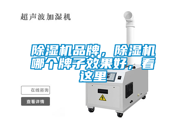 除濕機(jī)品牌，除濕機(jī)哪個(gè)牌子效果好，看這里