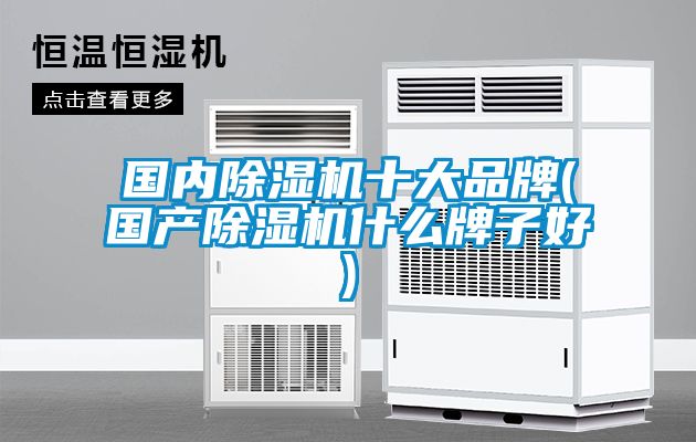 國內除濕機十大品牌(國產除濕機什么牌子好)