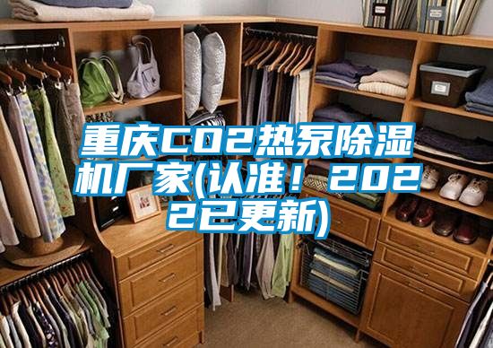 重慶CO2熱泵除濕機廠家(認準！2022已更新)