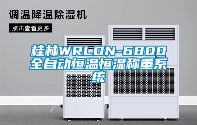 桂林WRLDN-6800全自動(dòng)恒溫恒濕稱重系統(tǒng)