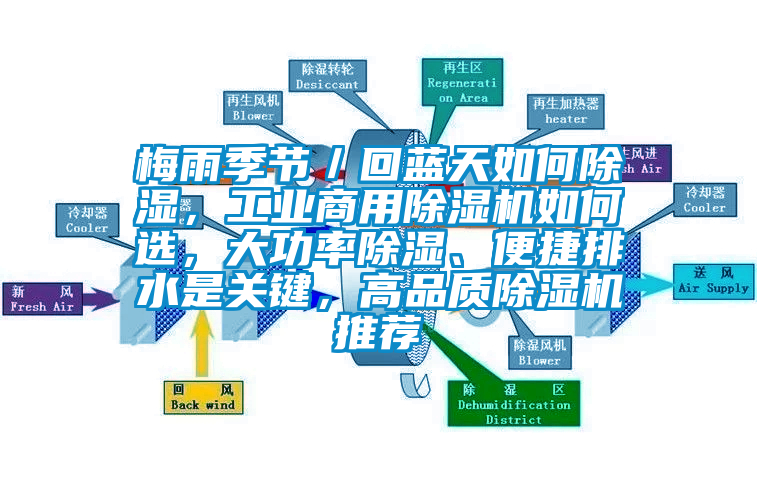 梅雨季節／回藍天如何除濕，工業商用除濕機如何選，大功率除濕、便捷排水是關鍵，高品質除濕機推薦